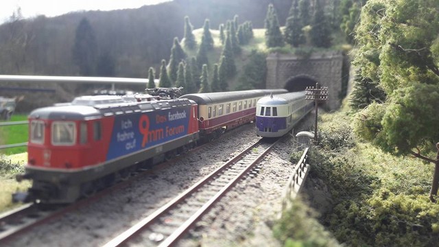 137-siebertz%20(30).jpg