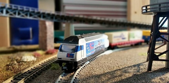 460_thomas%20(1).jpg