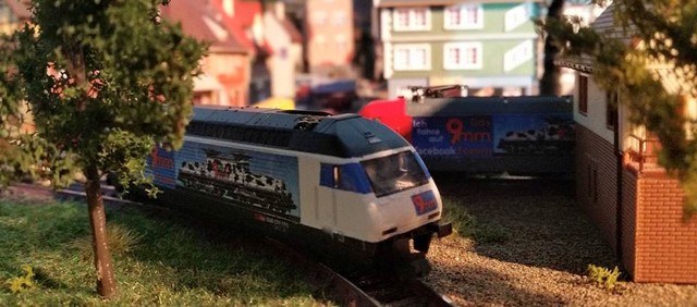 460_thomas%20(5).jpg