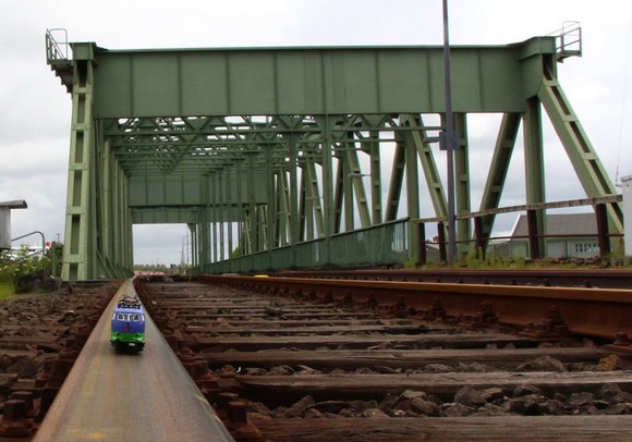 canis_11.jpg