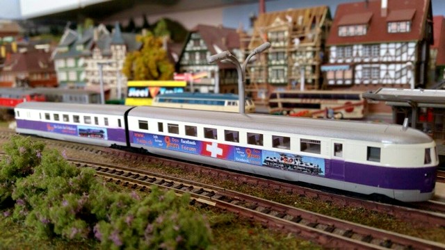 svt_thomas%20(4).jpg