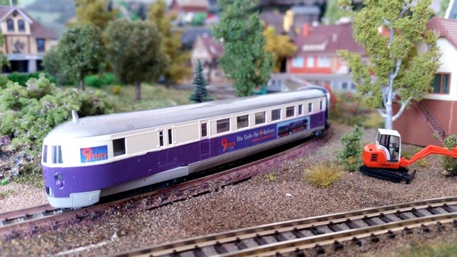 svt_thomas%20(5).jpg