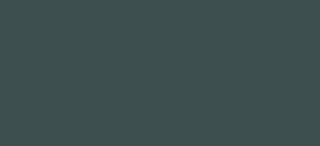 rauri003027.gif