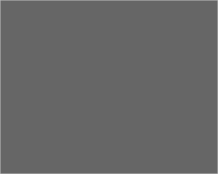 tfz_9mm_dampf_diesel002010.gif
